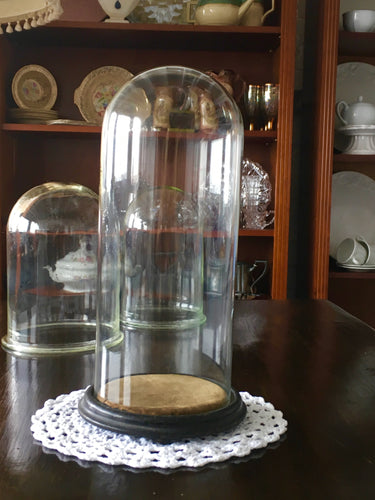 Antique Glass Display Dome. Victorian Glass Dome.