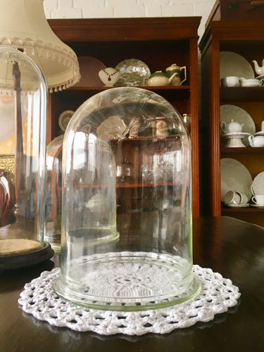 Antique Glass Dome. Victorian Glass Dome