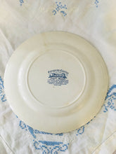 Load image into Gallery viewer, Blue and White 10 inch plate, Rare Myott Meakin European Castles c1970s